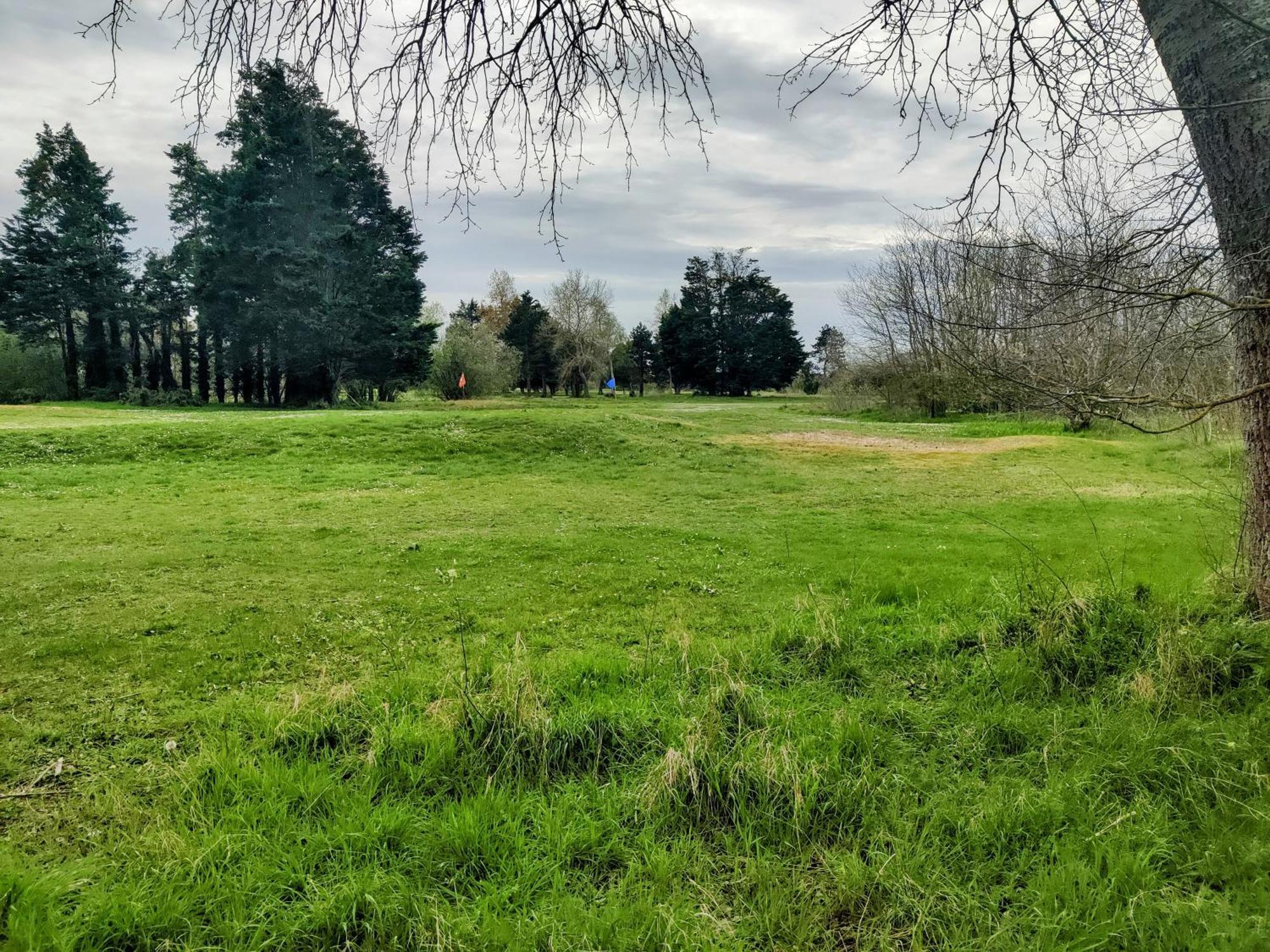 Ravissant Cottage Avec Jardin, Refait A Neuf, 2 A 5 Pers Cabourg Eksteriør bilde
